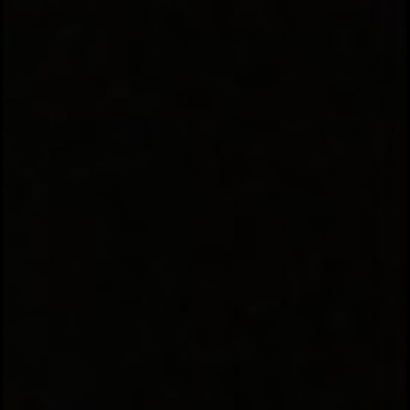 Meet your Posher, Gigi - Picture 1 of 1